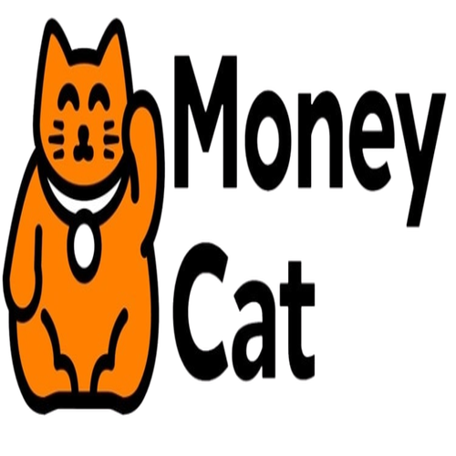 Vay tiền MoneyCat có an toàn cho người vay không?